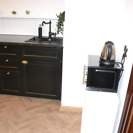 公寓 Madera House 卡托维兹