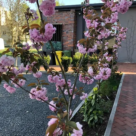 Madera House アパート カトヴィツェ