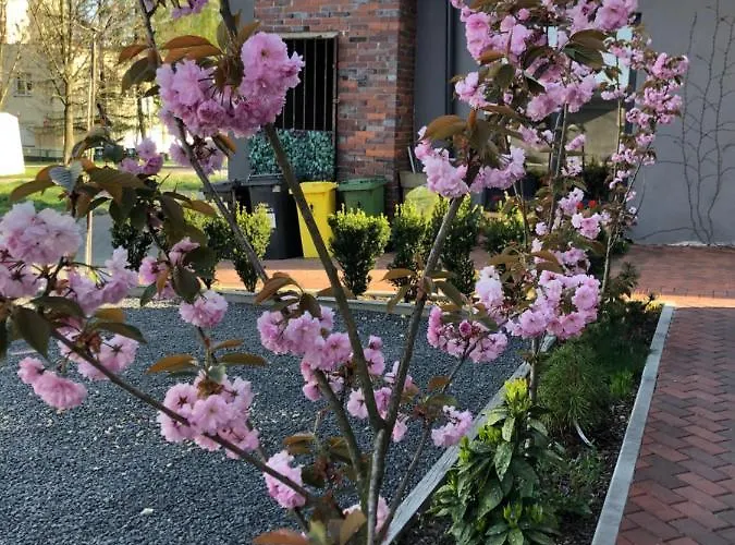 Madera House Apartmán Katovice